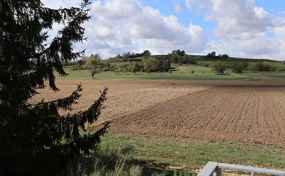 Immobilie in Gächlingen - Attraktive 2.5-Zimmer-Wohnung mit Weitblick in die Weinreben - Bild 14