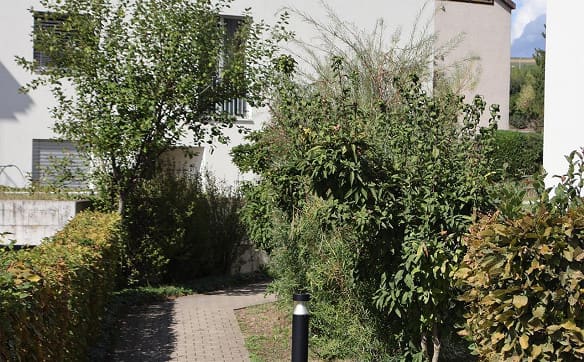 Immobilie in Gächlingen - Attraktive 2.5-Zimmer-Wohnung mit Weitblick in die Weinreben - Bild 5