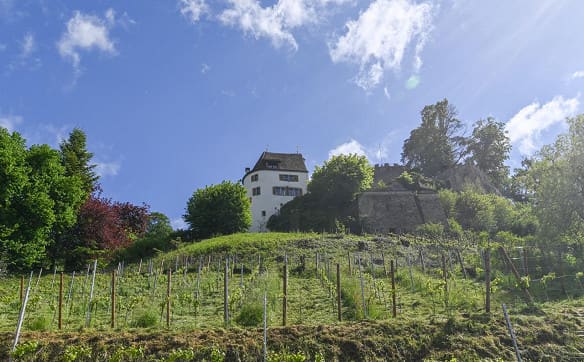 Immobilie in Teufenthal Ag - Gepflegtes, bezugsbereites Eigenheim mit PV-Anlage und Wärme-Pumpe - Bild 13