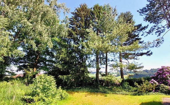 Immobilie in Ueberstorf - 6.5-Zimmer-Villa mit grossem Grundstück in Ueberstorf kaufen - Bild 4
