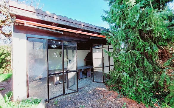 Immobilie in Jegenstorf - Ihr neues Zuhause in Jegenstorf - Bild 8