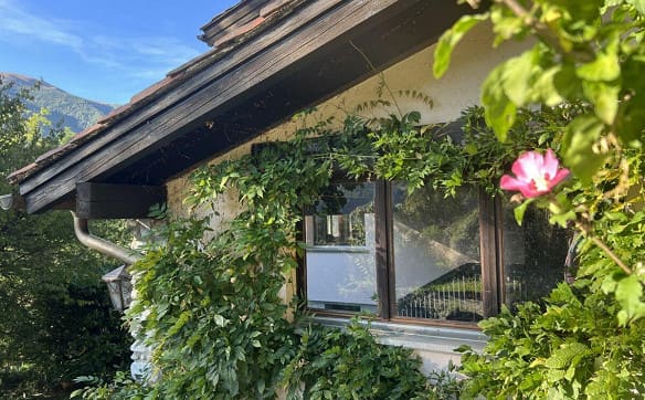 Immobilie in Piandera Paese - Wohnen im Grünen - Einfamilienhaus mit herrlicher Aussicht und viel... - Bild 10
