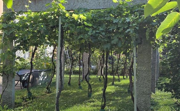 Immobilie in Dongio - Moderne Erdgeschosswohnung für naturverbundene Menschen - Bild 4