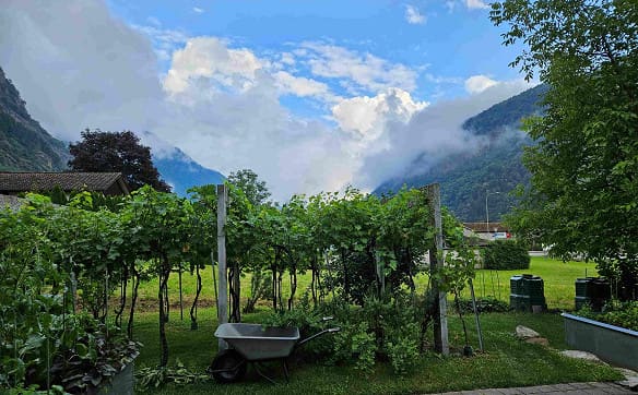 Immobilie in Dongio - Moderne Erdgeschosswohnung für naturverbundene Menschen - Bild 5