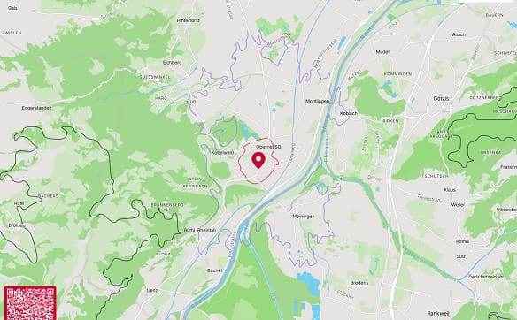 Immobilie in Oberriet Sg - Einfamilienhaus mit Potenzial in Oberriet zu verkaufen! - Bild 19