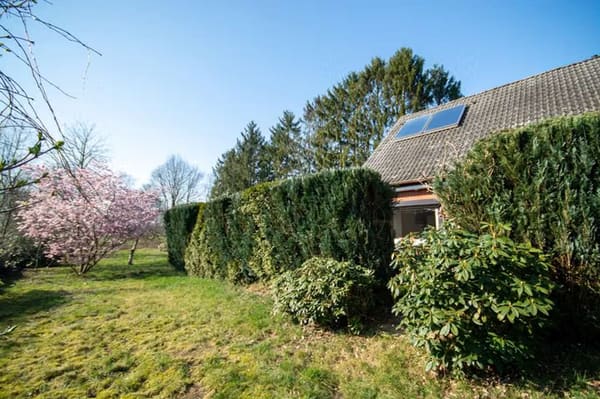 Immobilie in Worpswede - Freistehendes Einfamilienhaus auf großem Grundstück - Bild 4