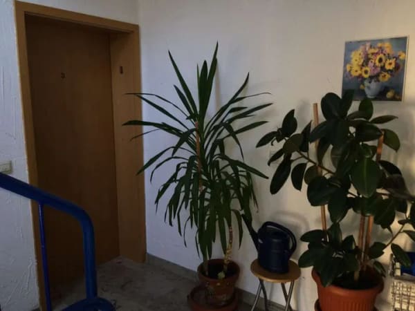 Immobilie in Schöntal - SCHNÄPPCHEN 6 Zi. Wohnung mit Balkon und Autoabstellplatz - KAPITALANLAGE / NUR € 1170,00 auf den m² - Bild 1