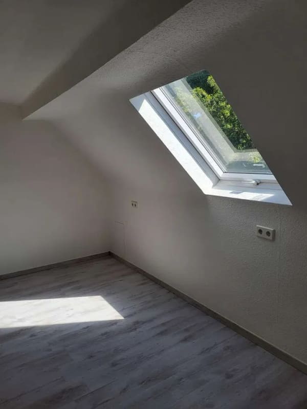 Immobilie in Zellertal - Neu renovierte großzügige Wohnung im schönen Zellertal - Bild 3