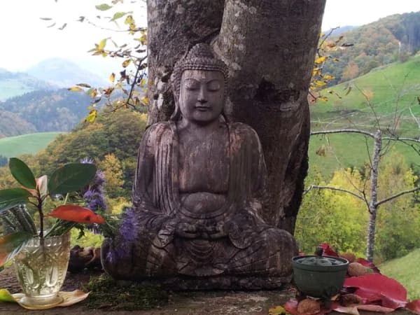 Immobilie in Kleines Wiesental -  Wohnhaus mit sep. Seminarhaus - traumhafter Belchenblick, grosser Garten  in Elbenschwand - Bild 1