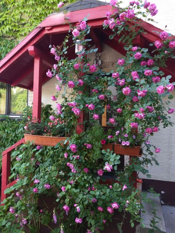 Immobilie in Kleines Wiesental -  Wohnhaus mit sep. Seminarhaus - traumhafter Belchenblick, grosser Garten  in Elbenschwand - Bild 4