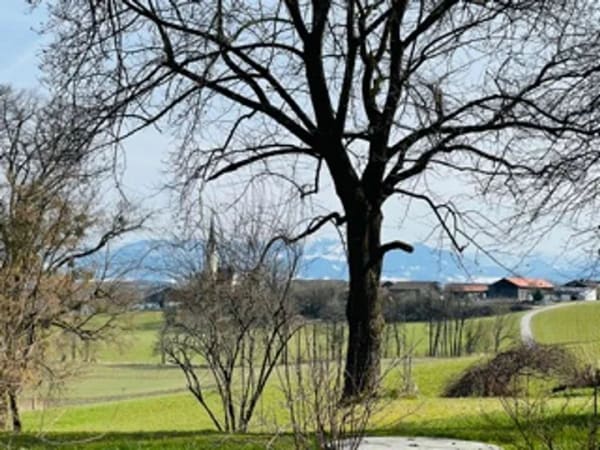 Immobilie in Schechen - Reihenmittelhaus vor den Toren Rosenheims mit Bergblick - Bild 2