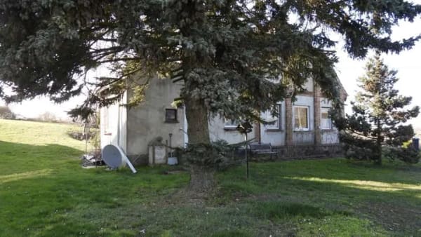 Immobilie in Kritzmow - Seltenheit. Großes Traumgrundstück in Groß Schwaß (westliche Stadtgrenze von Rostock) - Bild 0
