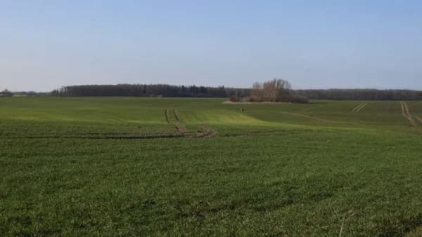 Immobilie in Kritzmow - Seltenheit. Großes Traumgrundstück in Groß Schwaß (westliche Stadtgrenze von Rostock) - Bild 1
