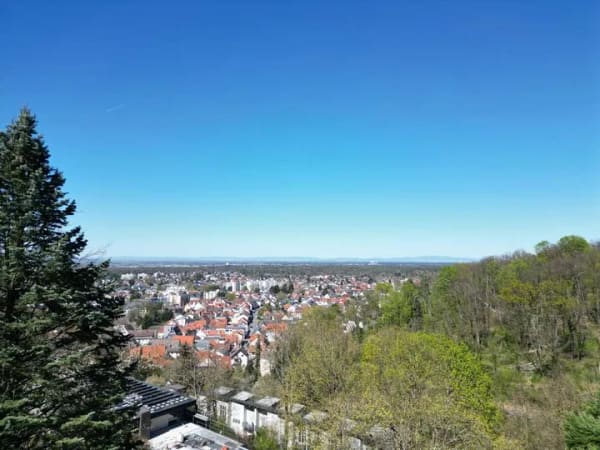 Immobilie in Seeheim-Jugenheim - SCHWIND IMMOBILIEN - traumhafte Lage trifft auf Haus mit Optionen - Bild 2