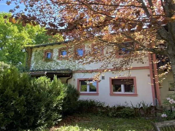 Immobilie in Dielheim - Landwirtschaftliches Anwesen ideal für Pferdehaltung oder andere naturnahe Ideen - Bild 0