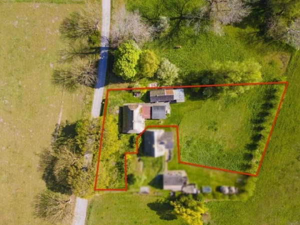 Immobilie in Insel Hiddensee - Hiddensee - Fischerhaus mit Geschichte mit großem Grundstück - Bild 1