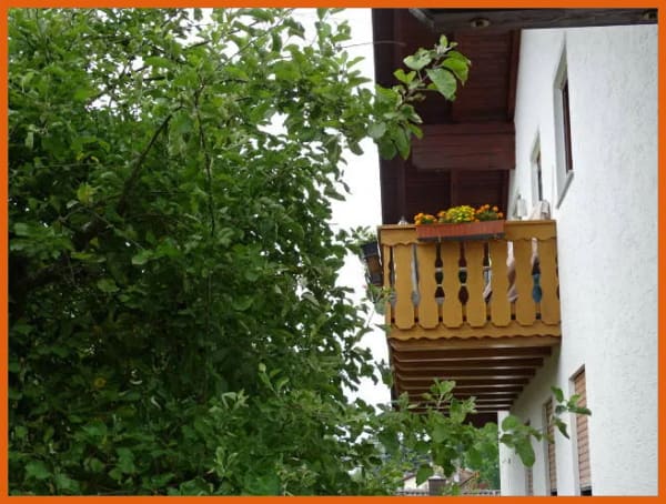 Immobilie in Regen - Gemütliche 3-Zimmer DG-Wohnung mit soliden Mietern in Regen - Bild 3
