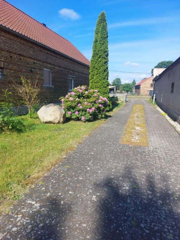 Immobilie in Schwarzheide - Haus Grundstück Privat - Bild 4