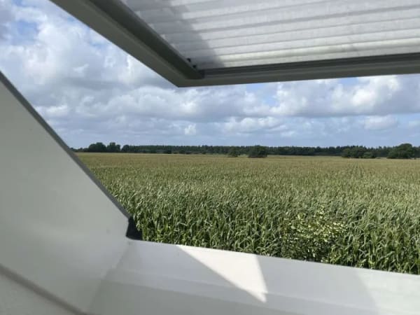 Immobilie in Kropp - **Zwischen den Meeren**  Von Privat: EFH in ruhiger Feldrandlage - Bild 4