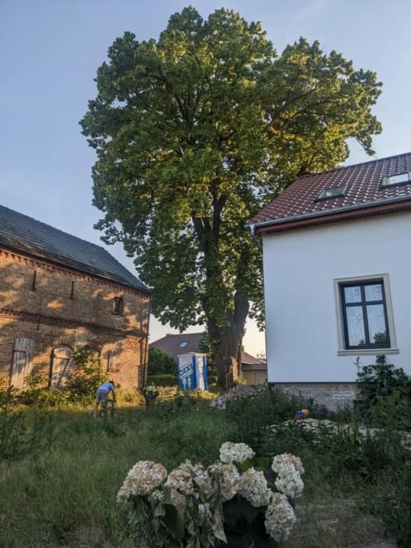 Immobilie in Kloster Lehnin - Stilvolle Altbau-Villa, großzügiges Herrenhaus für 1-2 Familien bzw. Mehrgenerationen, hochwertig ausgestattet, Altbau in modernem und veredeltem Sanierungszustand, großes Grundstück mit zusätzlichem Bebauungspotenzial für ein DH oder 3 RH - Bild 3
