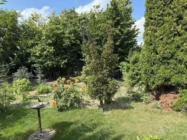 Immobilie in Seelow - Platz für zwei Generationen und ihre Hobbys - Bild 3