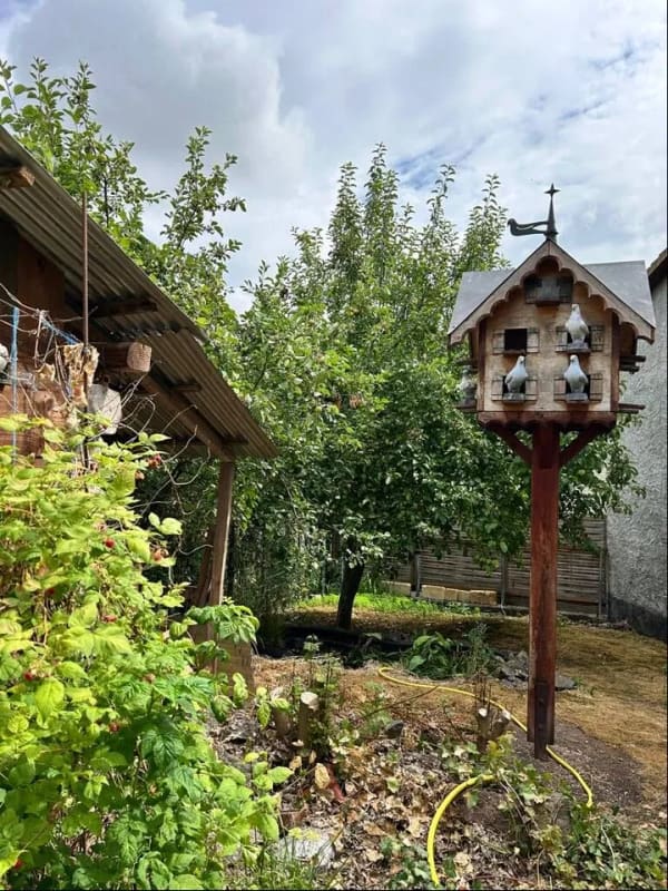 Immobilie in Heringen/Helme - Wohnen in Auleben - Einfamilienhaus mit viel Platz - Bild 3