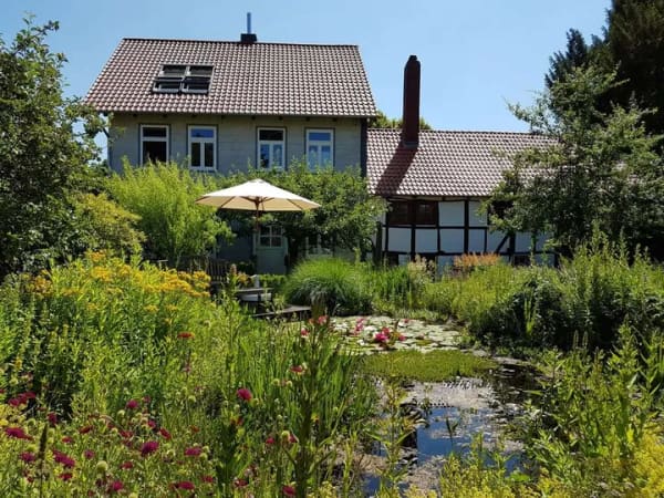 Immobilie in Denkte - Liebhaberobjekt - zwei restaurierte Fachwerkhäuser mit gepflegtem Garten und Nebengebäuden/Bauplatz - Bild 2