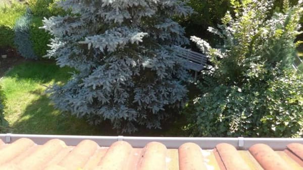 Immobilie in Remse - Pflegeleicht und käuferprovisionsfrei - Bild 4