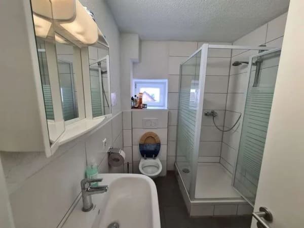 Immobilie in Beilstein - *LUKRATIVE Anlage - 6 Wohneinheiten + 7 WG-Apartments! - Bild 3