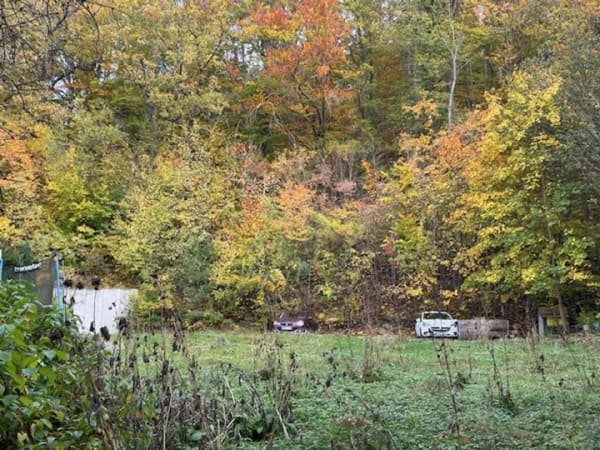 Immobilie in Bad Berka - GRUNDSTÜCK MIT EFH-PROJEKT AM STADTPARK - Bild 1