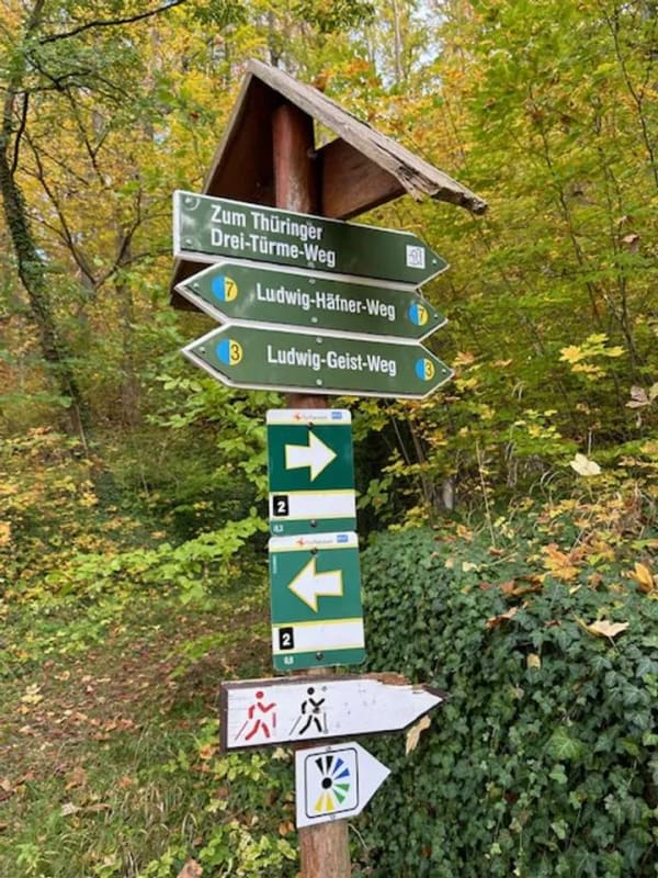 Immobilie in Bad Berka - GRUNDSTÜCK MIT EFH-PROJEKT AM STADTPARK - Bild 3