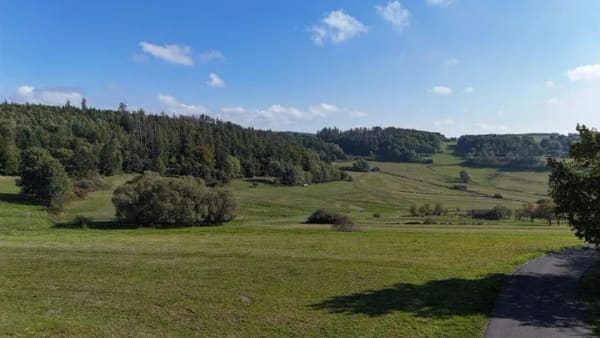 Immobilie in Frankenau - Ehemalige Kellerwald-Uhr - Ihr neues Ferienhaus im Herzen der Natur am Rande des Nationalparks Kellerwald - Bild 1