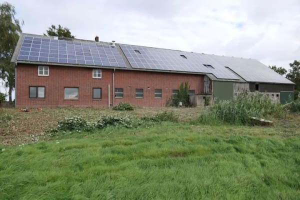 Immobilie in Belum - Resthof in 21785 Belum mit großem Stallbereich und anliegender Weide auf 1,8 ha - Bild 1