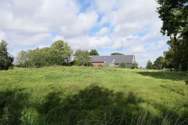 Immobilie in Belum - Resthof in 21785 Belum mit großem Stallbereich und anliegender Weide auf 1,8 ha - Bild 4