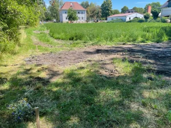 Immobilie in Großrudestedt - Das variable Haus mit Wohlfühlgarantie in Großrudestedt - einfach genießen - Bild 4