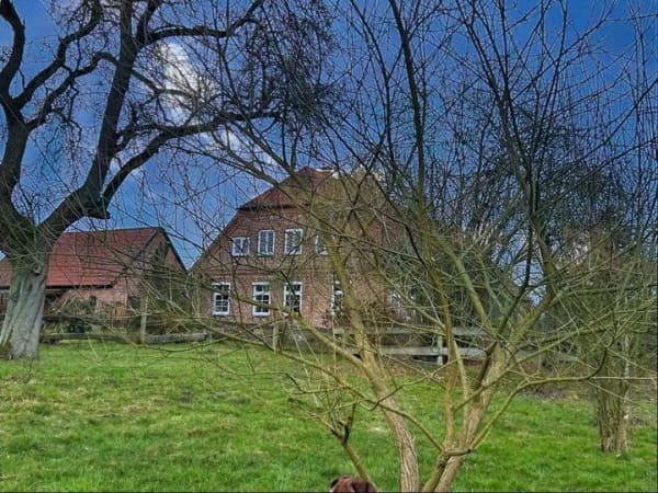 Immobilie in Wittenburg - Idyllischer Bauernhof - Bild 2