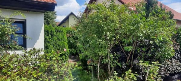 Immobilie in Schönewalde - Charmantes Einfamilienhaus mit Pool  - Bild 3