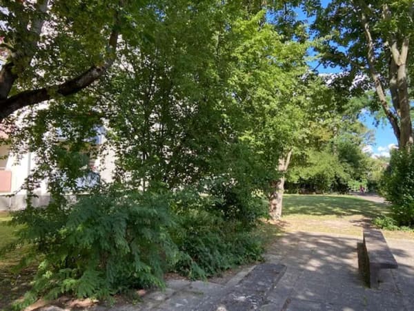 Immobilie in Limburgerhof - 3 ZKB-Wohnung zur Selbstnutzung oder als Kapitalanlage - Bild 1