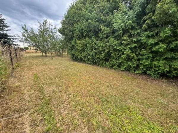 Immobilie in Guben - Lebensraum für Ihre Zukunft - Bild 4