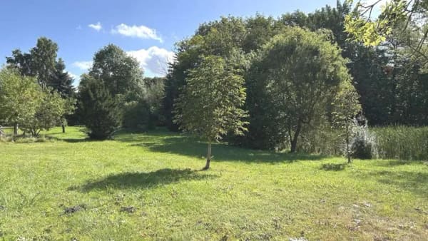 Immobilie in Biendorf - Dein Platz für etwas Eigenes - Bild 3