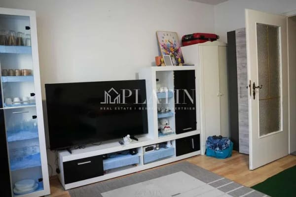 Immobilie in Ubstadt-Weiher - Platz für die Familie & kreative Köpfe in Stettfeld: Vielseitiges MFH mit XXL-Dachterrasse - Bild 3