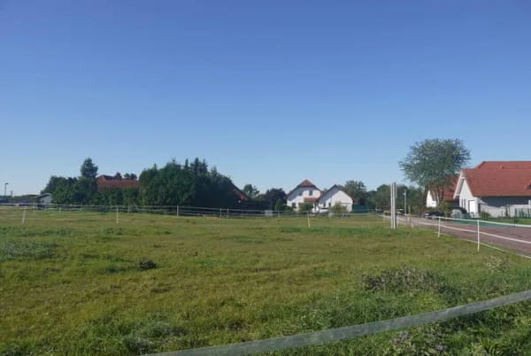 Immobilie in Könnern - Könnern OT Kirchedlau: Einfamilienhaus-Neubau auf 585 qm Baugrundstück - Bild 3