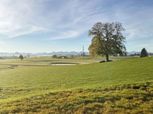 Immobilie in Aitrang - Traumhafte Aussichten! - Bild 0
