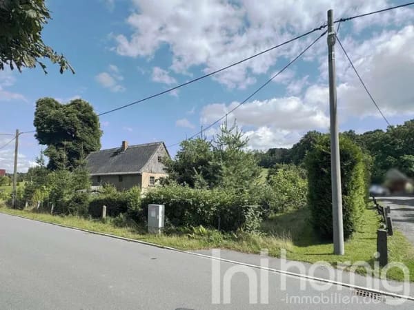 Immobilie in Steina - +++ Kleines Einfamilienhaus im Dornröschenschlaf +++ - Bild 0