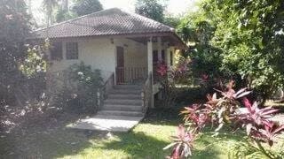 Immobilie in Gangkofen - 3 Häuser auf Samui - Bild 0