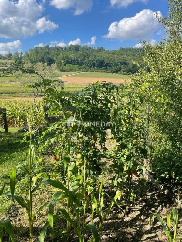 Immobilie in Lonsee - Einziehen und Wohlfühlen - Ansprechendes Einfamilienhaus mit Schrebergarten, Garage und Solaranlage - Bild 3