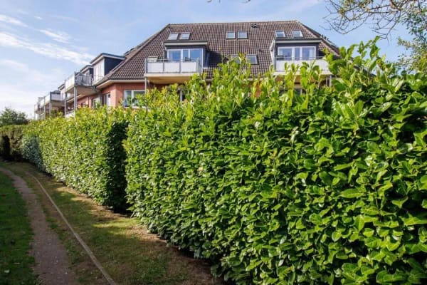 Immobilie in Laboe - Maisonette Dachgeschosswohnung in Laboe - Bild 1