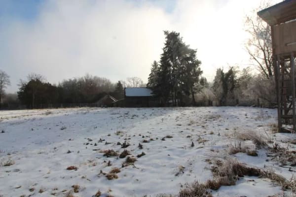 Immobilie in Hagelstadt - KLEINES ANWESEN ABZUGEBEN - Bild 3