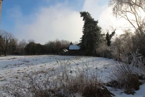 Immobilie in Hagelstadt - KLEINES ANWESEN ABZUGEBEN - Bild 4