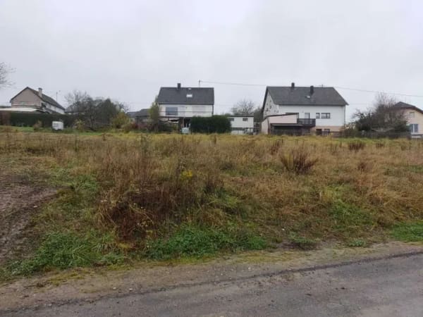 Immobilie in Beuren (Hochwald) - Bestpreisgarantie bei Bien-Zenker - Ihr Eigenheim nach Plan auf tollem Grundstück in Bescheid - Bild 4